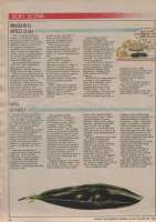 sk1984.12.12.jpg