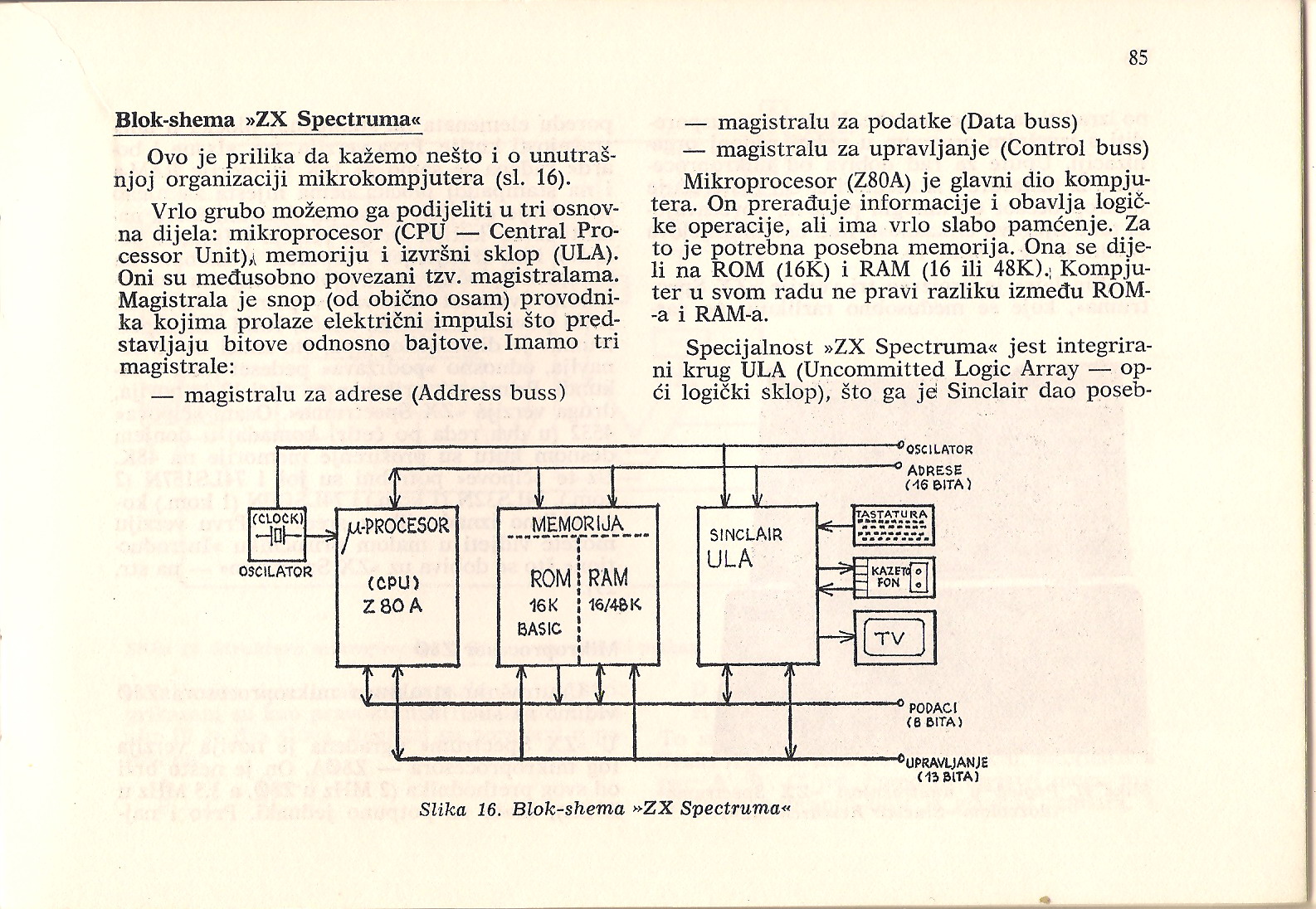 ZXUvod_085.jpg